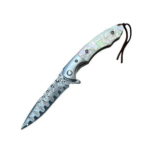 Assisted Opening Knife Facts